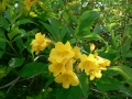 Springtime 12