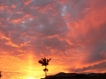 Sunrise & Sunset 10