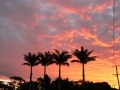 Sunrise & Sunset 12