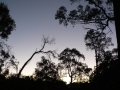 Sunrise & Sunset 13