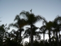 Sunrise & Sunset 14