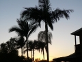 Sunrise & Sunset 15