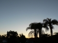 Sunrise Splendor01