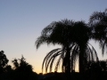 Sunrise Splendor02