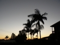 Sunrise Splendor03