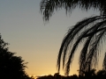 Sunrise Splendor04