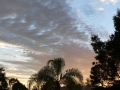 Sunrise Splendor06