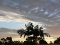 Sunrise Splendor07