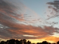 Sunrise Splendor10