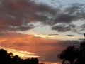 Sunrise Splendor11