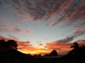 Sunrise Splendor12