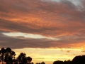 Sunrise Splendor13