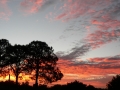 Sunrise Splendor14
