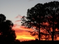 Sunrise Splendor16